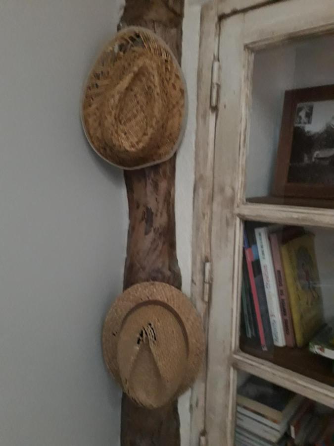 La Mesonnetta Bed & Breakfast Soulignonne Екстериор снимка